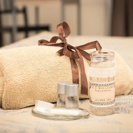 布达佩斯维尔民宿 3* 布达佩斯